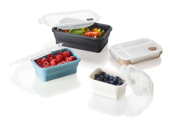 Ernesto Collapsible Rectangular Food Storage Containers - Set of 4