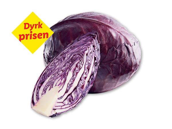 Dansk rødkål