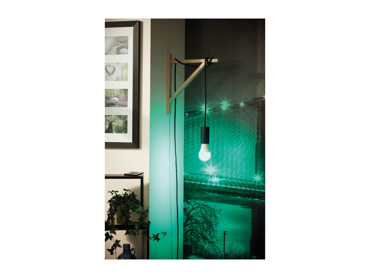 Livarno Lux LED Colour-Changing Bulb1