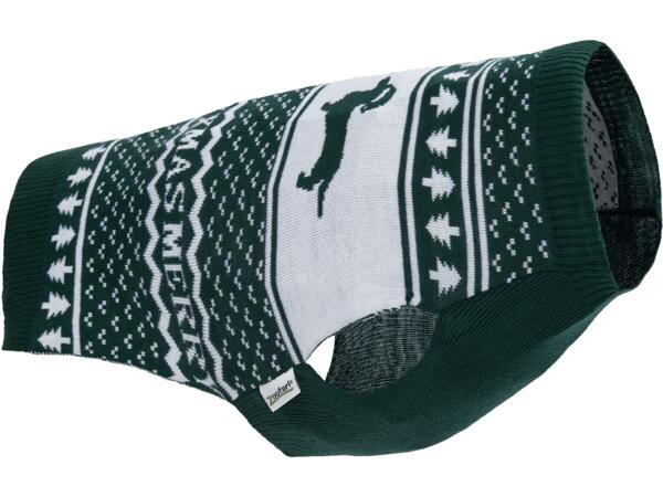 Dog Jumper