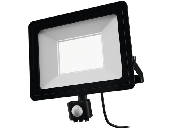 100W LED Outdoor Light