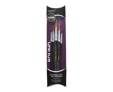 Artist Paint Brushes