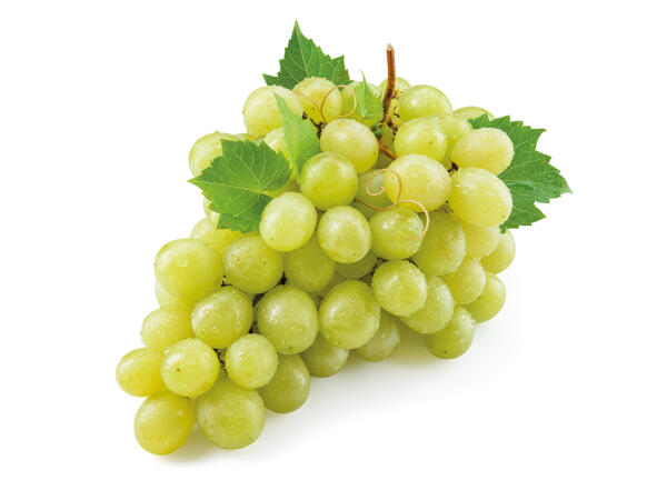 White grapes Mazzarrone PGI