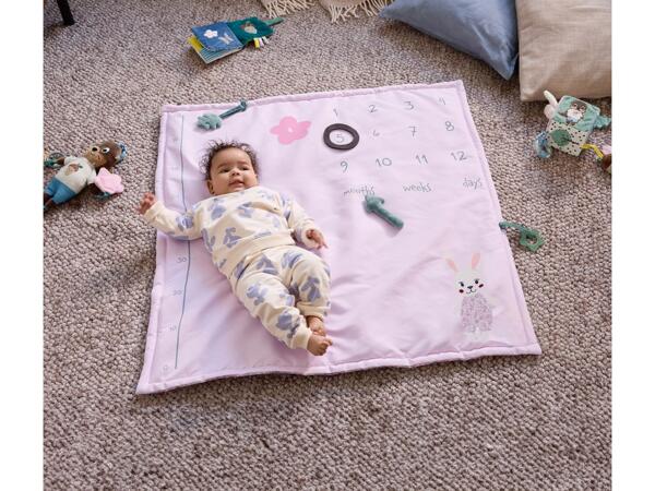 Baby Milestone Blanket