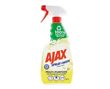 Spray & Wipe 485ml