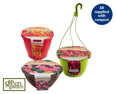 Basket/Planter