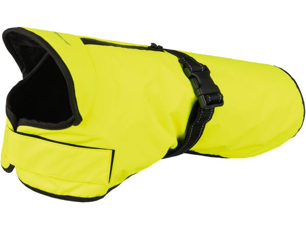 Water-Repellent Dog Coat