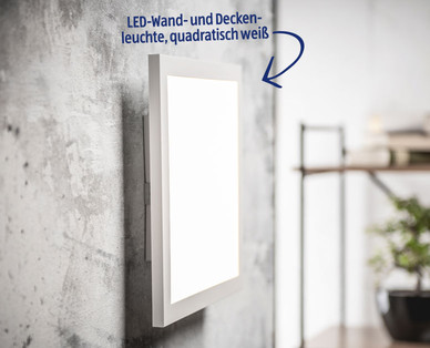 CASALUX LED-Wand- und Deckenleuchte