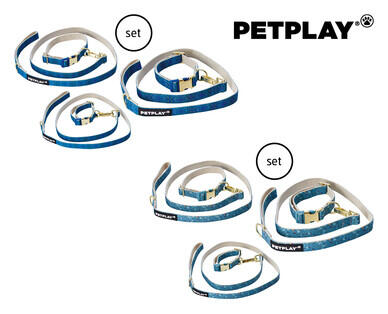 Dog Collar and Lead Set