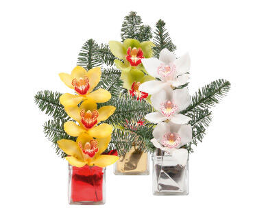 Composizione orchidee natalizia