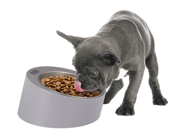 Zoofari Feeding Bowl with Built-In Scale - Lidl - Great Britain ...