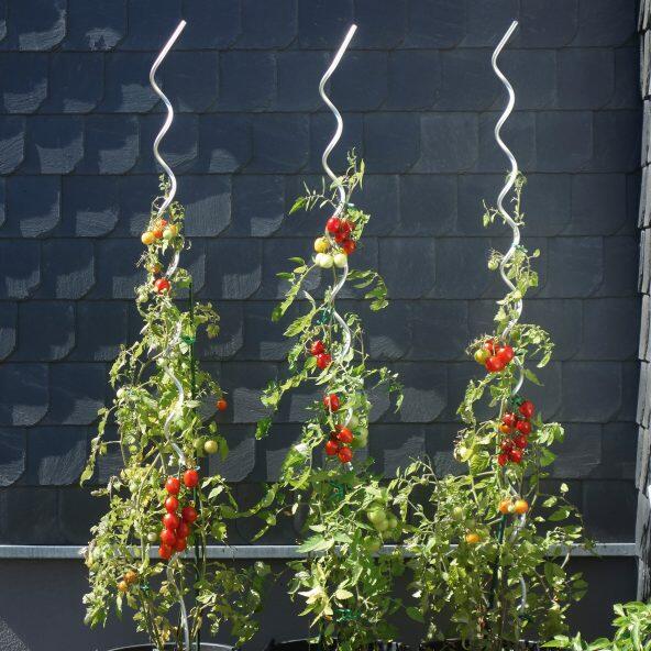 Tuteurs pour plantes ou tomates