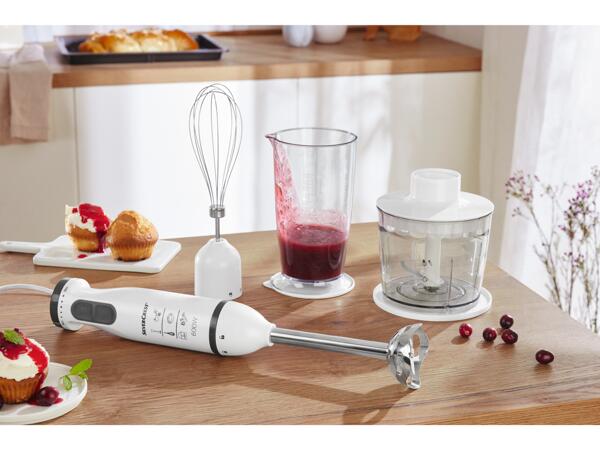 600W Hand Blender Set