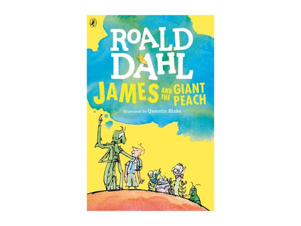 Roald Dahl Children's Book