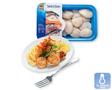 Capesante MSC ALMARE SEAFOOD