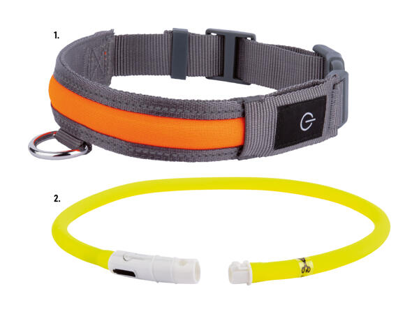 Collare per cani a LED Zoofari