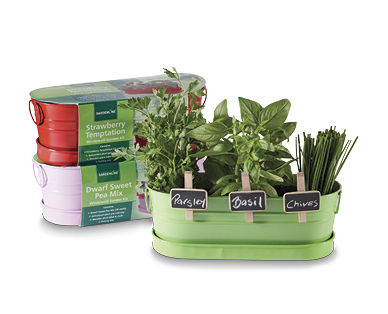 All-In-One Windowsill Garden Kit