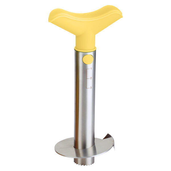 Crofton Pineapple Slicer