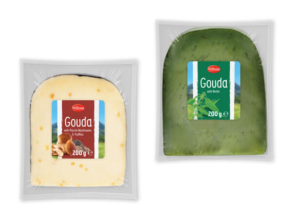 Gouda