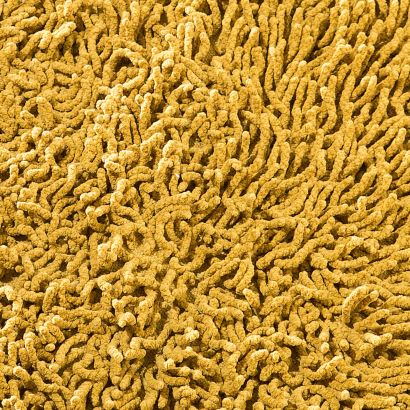 Tapis de bain