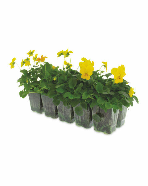 Autumn Bedding 10 Pack