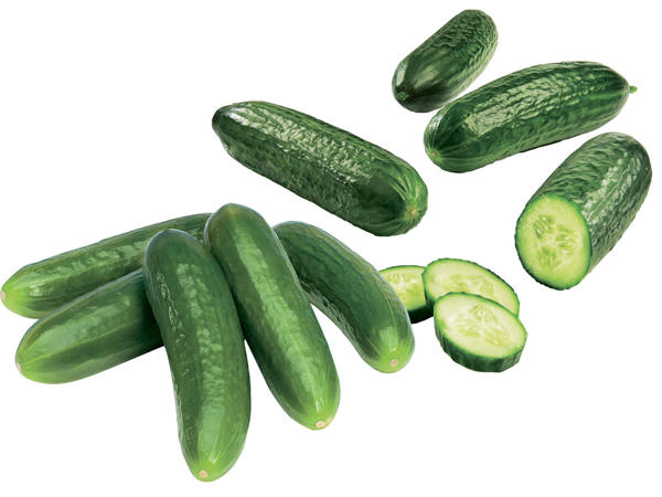 Österreichische Mini-Gurken