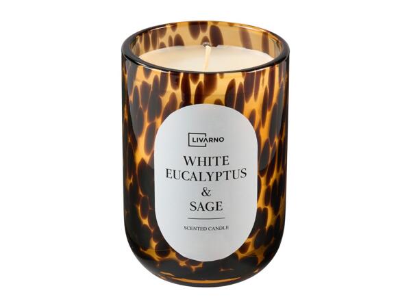 Livarno Home Large Scented Candle - White Eucalyptus & Sage