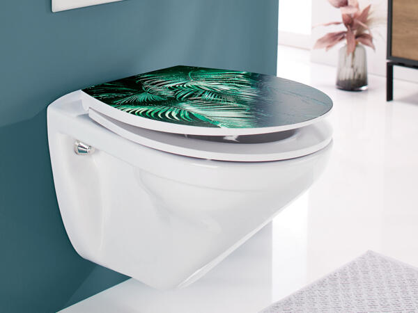 Toilet Seat