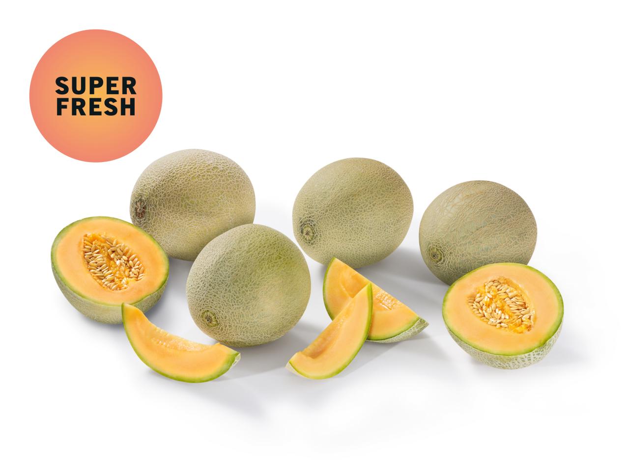 Melon Galia