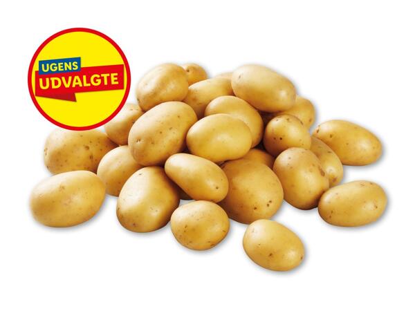 Lammefjordskartofler