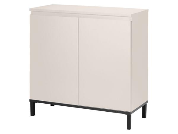 Storage Cabinet With 2 Doors