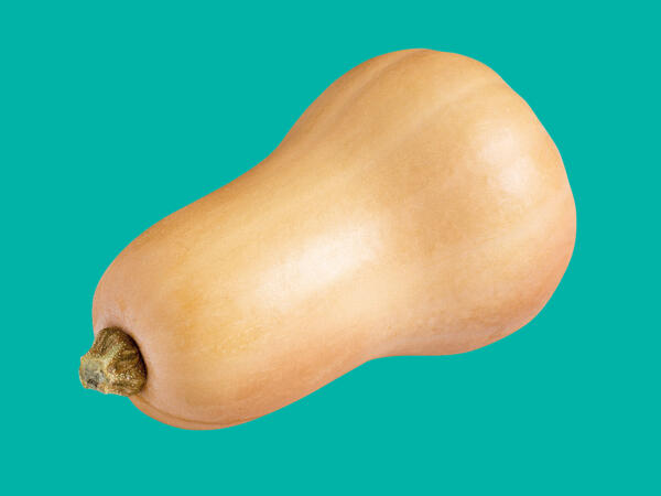 Butternut Squash