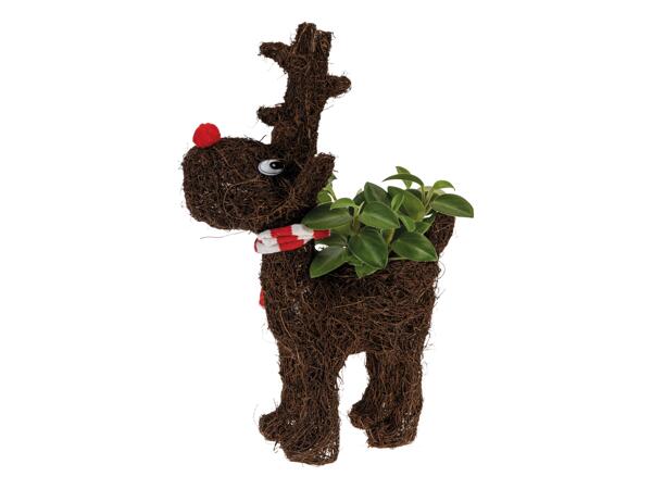 Reindeer Christmas Composition