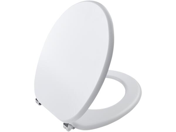 Toilet Seat