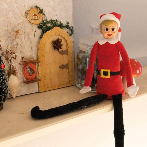TOYLINO(R) 				Lutin farceur
