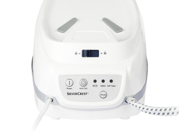 Steam Generator Iron