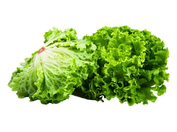 Gentile sallad