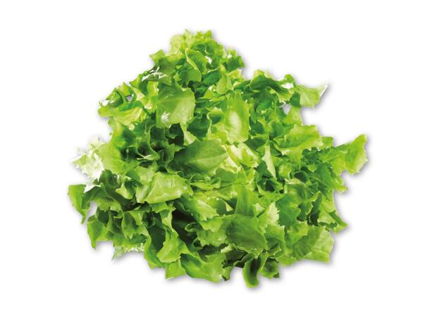 Crisp salat