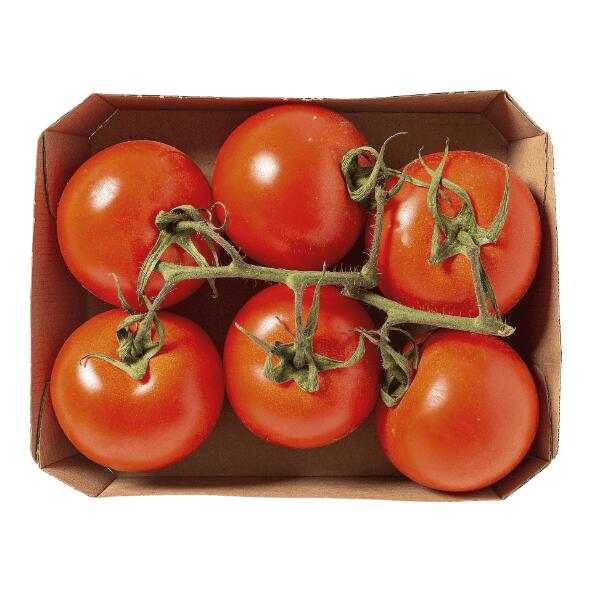Biostrauchtomaten