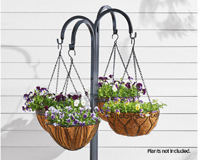Premium Hanging Basket with Coco Liner