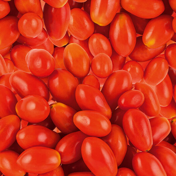 Snacktomaten