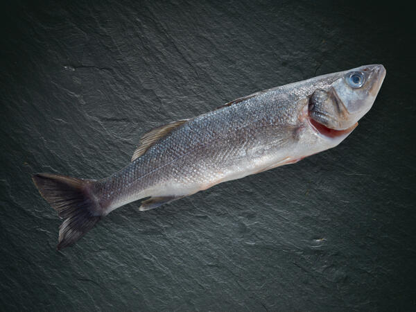 Branzino bio
