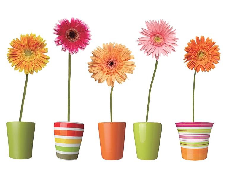 Wall Sticker Set