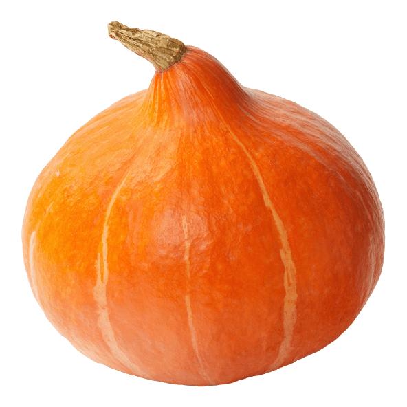 Biopompoen