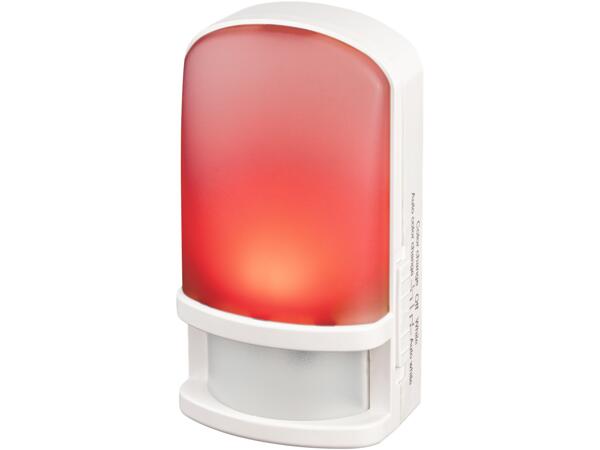 LED Night Light