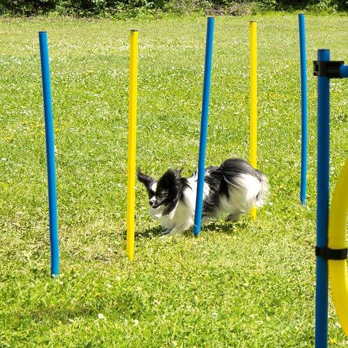 ROMEO Agility-Zubehör
