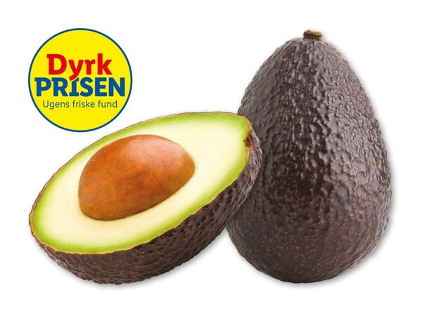 Avocado