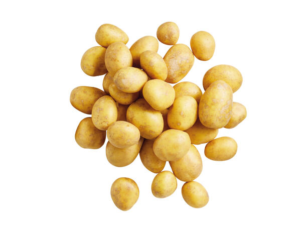 Bio Speisekartoffeln aus Österreich