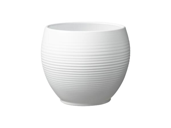 Purista Modern