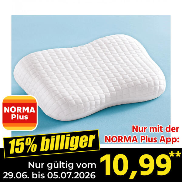 Viskoelastisches Nackenstützkissen "Freeze"